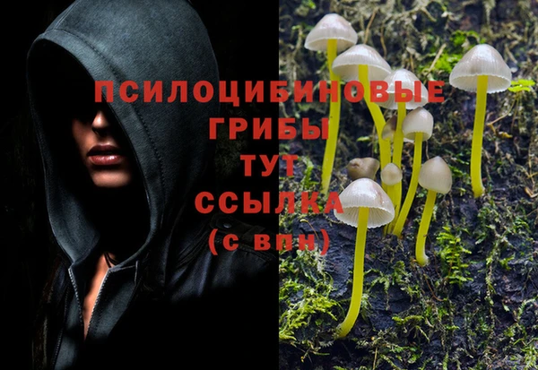 прущий лед Балахна