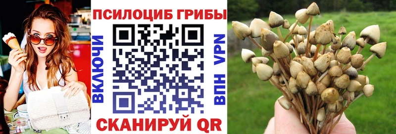где купить наркотик  Корсаков  Галлюциногенные грибы Magic Shrooms 