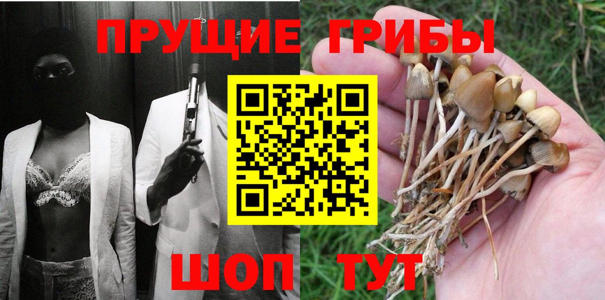 Псилоцибиновые грибы MAGIC MUSHROOMS Корсаков