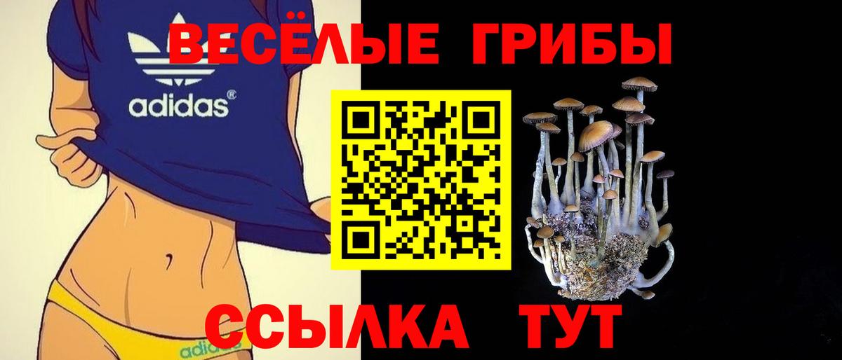 Корсаков  сколько стоит  Вход с VPN  Псилоцибиновые грибы GOLDEN TEACHER  Галлюциногенные грибы Psilocybe 